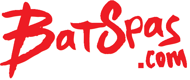 Batspas_Big_Logo